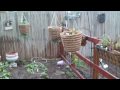 The Kersey Garden - Video #2, It's Time to Plant