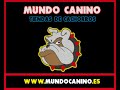 Antena 3 Visita www.MundoCanino.es Venta de Perros Cachorros