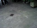 Auto Loco