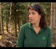 Business of Sport: Mountain Investment Business of Sport: Mountain Investment