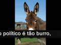o Analfabeto politico