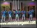 Grupo Pegasso 