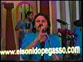 Grupo Pegasso 