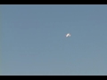 Deuces Wild 25e - E-flight