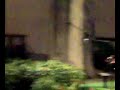 mario castelnuovo tedesco fantasia per chitarra e pianoforte