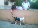 perla