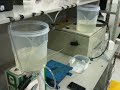 Weighing and Dosing with iPhone
