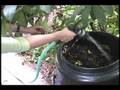 Composting at Home: Two Easy Methods