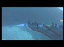 IGORA RAIL MASTERS