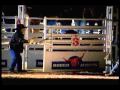 Ver Video