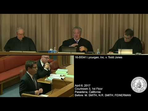 The Mcmillan Law Firm - Scott McMillan Attorney, Vexatious Litigant Too?