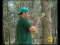videos de Programa Tele Elda Montaña