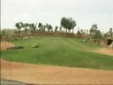 Un dia en Bioparc-Valencia Un dia en Bioparc-Valencia