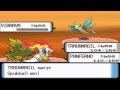 Pokemon Perl [#041] - Route 228