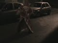 Le Père Noel danse la Tecktonik à Allouagne