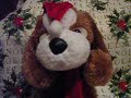 A Dog Just for Christmas