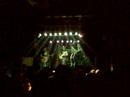 boogie punkers