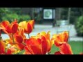 Amazingly Composed melody by A.R. Rahman and sung by Shreya Ghoshal