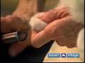 Clipping Toe Nails: How to Groom a Cat: Grooming&Pet Care Tips