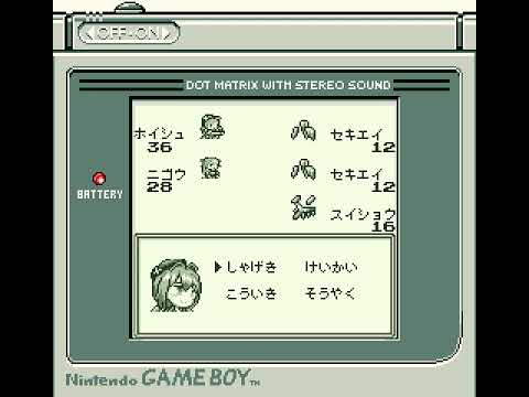 動画