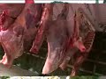 Sexta Feira
