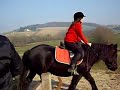 L�na et Bolino
