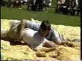 swiss wrestling, schwingen, lutte suisse