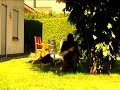 GSG0 - Hindernisse