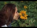 Ci vuole un fiore - Sergio Endrigo (em portugu�s)