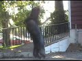 square handicap