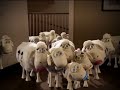 Just found this hilarious new Serta TV commercial with those Counting Sheep. The sheep show up in a woman's bedroom with their wives, kids and even a baby to make her feel guilty about buying a new Serta Mattress. Love the ending.