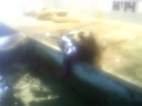 MAiA Y LA FOCA