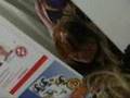 satsuki, aya and yuusuke doing cool stuff xD