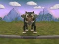 cow buffalo