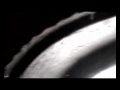 Brutart - Termites