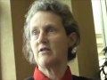 "Ten Minutes with Temple" - An Autism Hangout "Beyond the Headlines" Report
