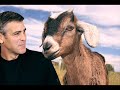 The Men Who Stare at Goats PART 7 Free Movie