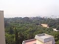 palermo in fiamme