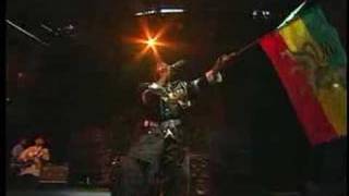 Warrior King "Africa Shall Be Free"
