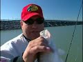 Crappie Fishing / Trolling Crappie Fishing / Trolling