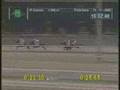 videos de Palermo 15/11/08 - Gran Premio Palermo (G1)