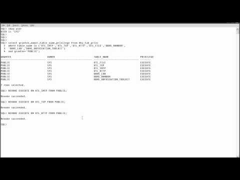 how to provide debug privilege in oracle