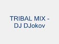 TRibal House -Dj Djokov