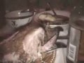 videos de tropa08 0001