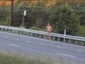 Bigfoot Sighting