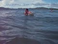 gorilla surfing