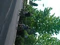 A GUY FRAKING OUT ABOUT HIS STOLEN BMX BIKE