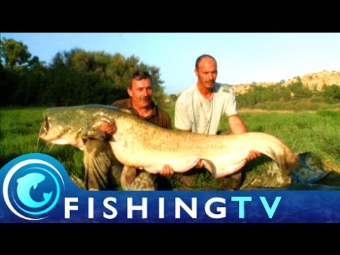 ebro