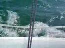 suite en video :  makila / banc darguin / ile aux oiseaux