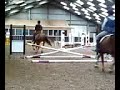 Springen (al een tijd geleden) Springen (al een tijd geleden)